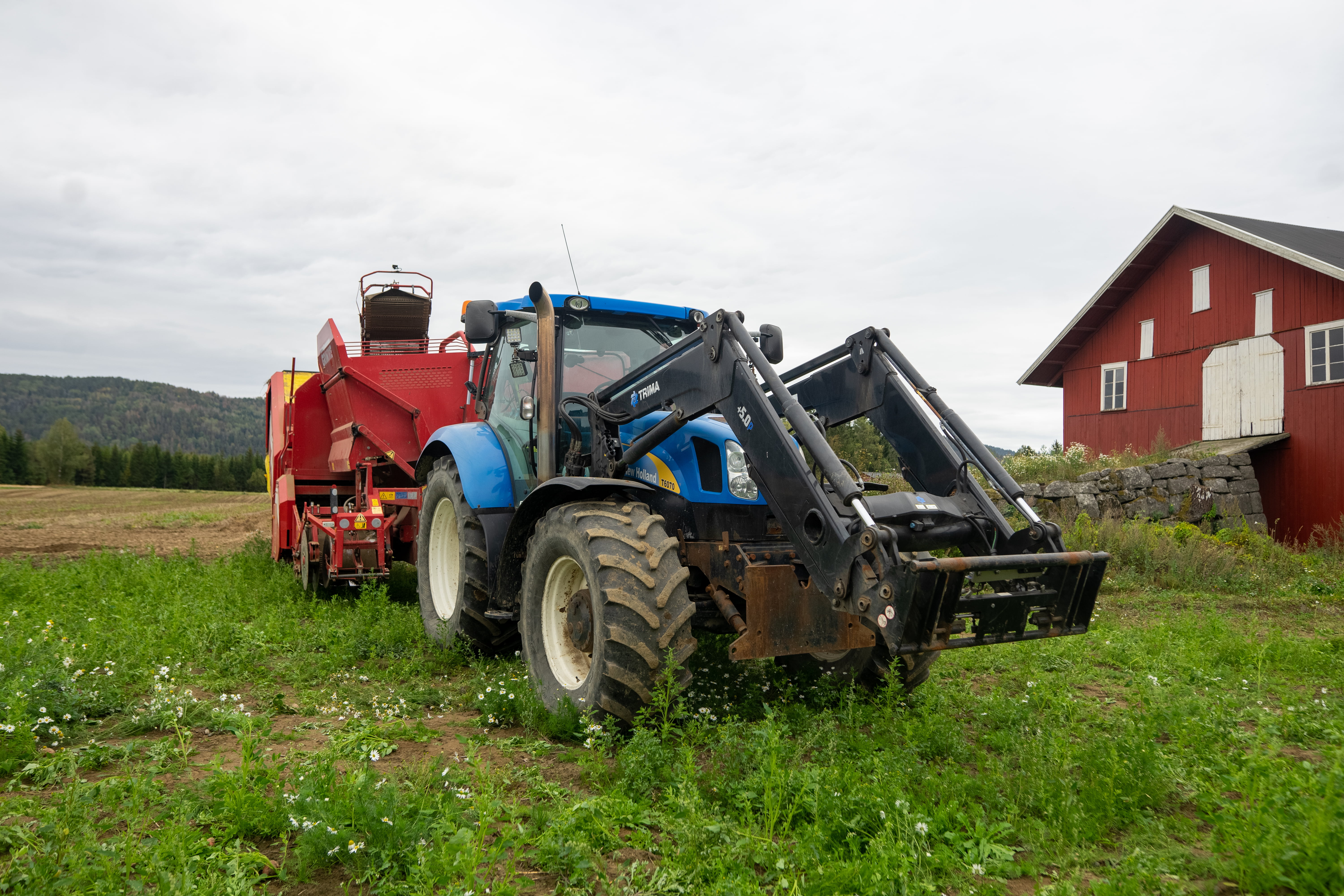 Blå traktor med rød landbruksmaskin står på en grønn åker ved siden av en rød låve.