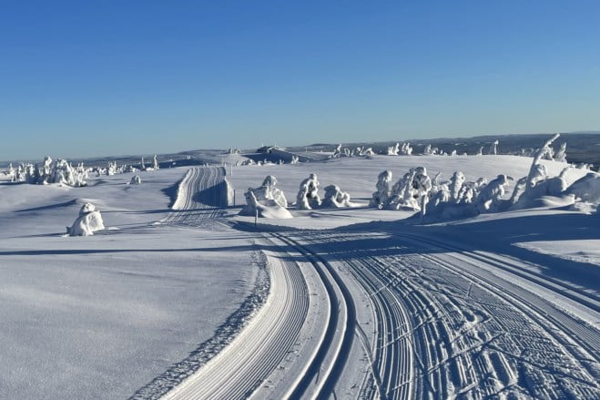 Skiløyper på Sjusjøen i vakkert vintervær